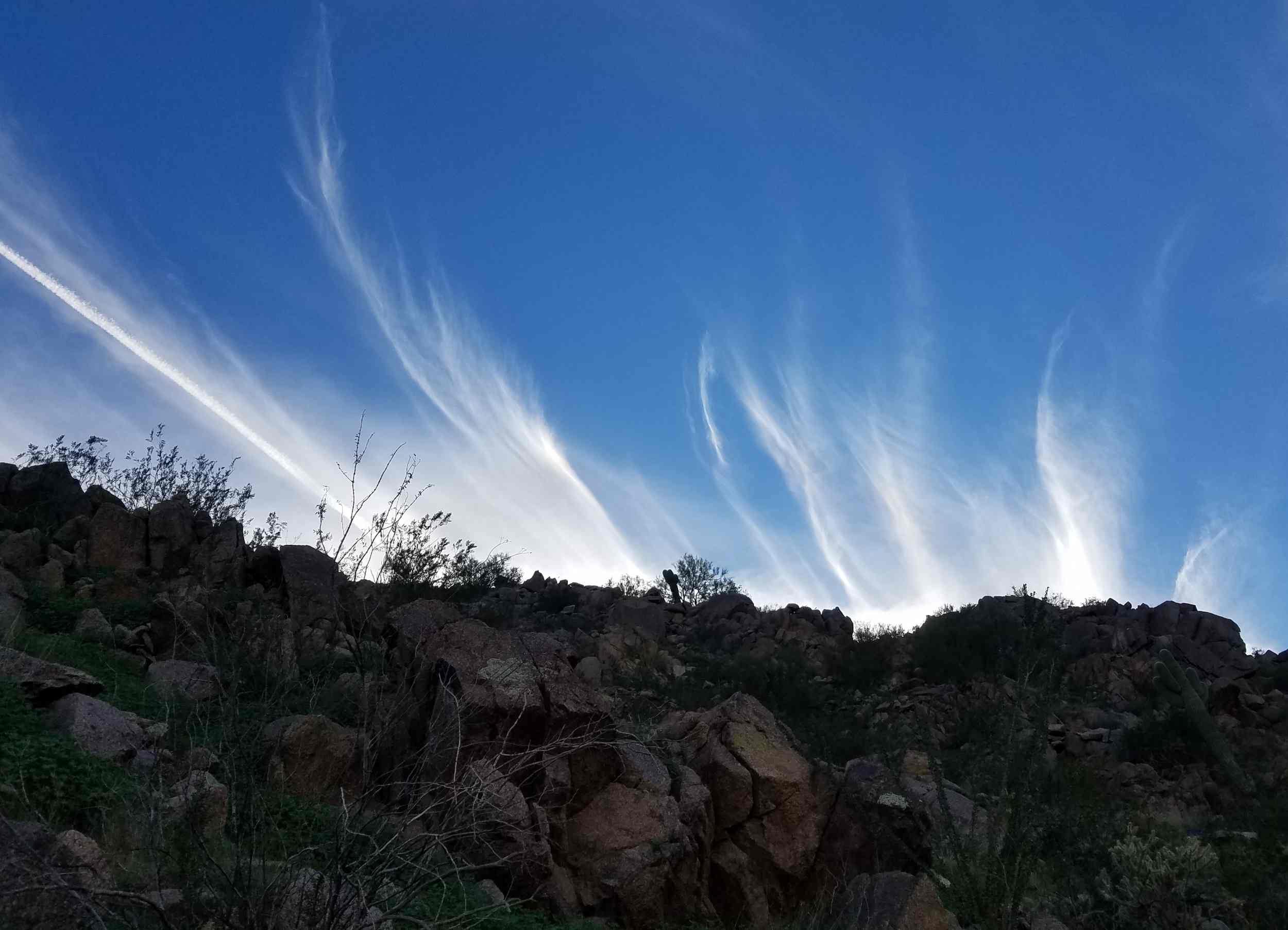 Street Diary Ornamentation
